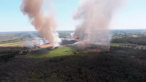Вид з повітря на пшеницю. Літаючи над димом над сільськогосподарськими полями — стокове відео