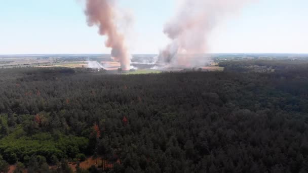 Вид з повітря на пшеницю. Літаючи над димом над сільськогосподарськими полями — стокове відео