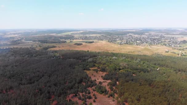 Vista aérea del bosque de pinos con campos. Parque de madera con árboles verdes — Vídeos de Stock