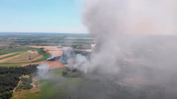 Luftaufnahme des Feuers im Weizenfeld. Rauch über landwirtschaftlichen Feldern — Stockvideo
