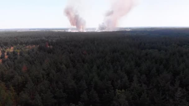 Vue aérienne du feu dans le champ de blé. Survol de la fumée au-dessus des champs agricoles — Video