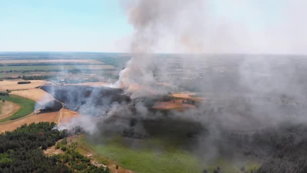 Zicht vanuit de lucht op vuur in het tarweveld. Vliegen over rook boven landbouwvelden — Stockvideo
