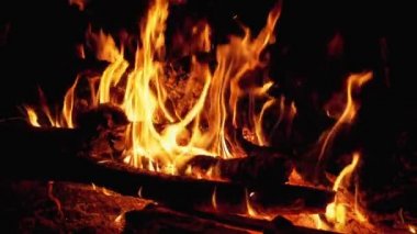 Şenlik ateşi. Branch 'ın kamp ateşi gece yanar. Yavaş Hareket