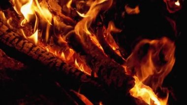 Şenlik ateşi. Branch 'ın kamp ateşi gece yanar. Yavaş Hareket