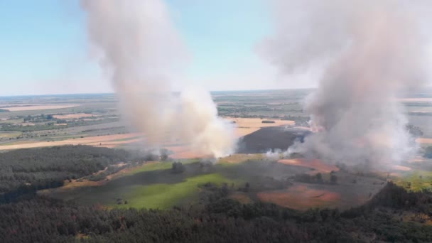 Vista aérea do fogo no campo de trigo. Voando sobre o fumo acima dos campos agrícolas — Vídeo de Stock