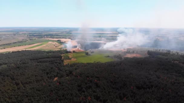 Zicht vanuit de lucht op vuur in het tarweveld. Vliegen over rook boven landbouwvelden — Stockvideo