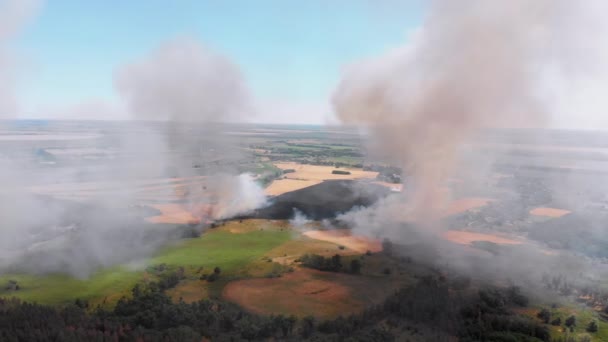 Вид з повітря на пшеницю. Літаючи над димом над сільськогосподарськими полями — стокове відео