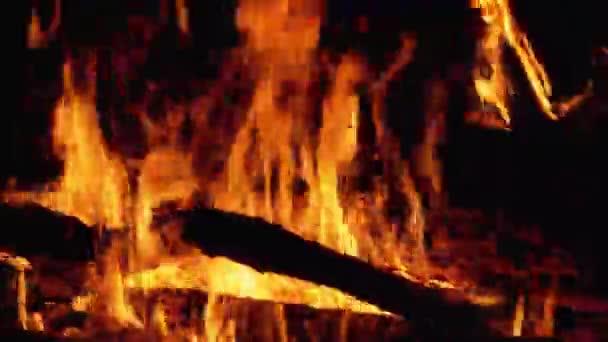 Oheň. Táborák z větví hoří v noci. — Stock video