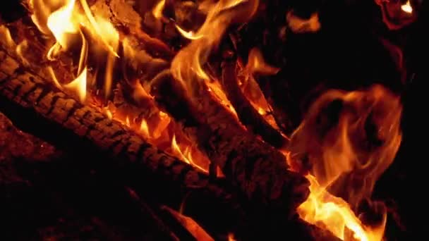 Lagerfeuer. Das Lagerfeuer aus Zweigen brennt in der Nacht. Zeitlupe — Stockvideo