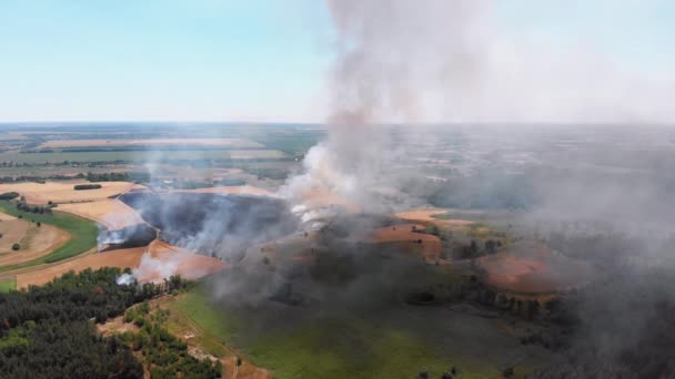 Vue aérienne du feu dans le champ de blé. Survol de la fumée au-dessus des champs agricoles — Video