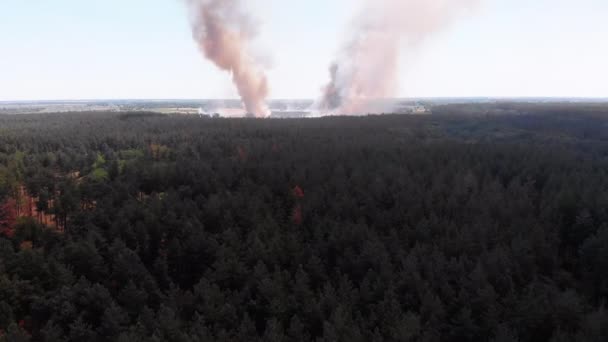 Vue aérienne du feu dans le champ de blé. Survol de la fumée au-dessus des champs agricoles — Video