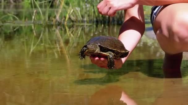 Kvinna innehar rolig sköldpadda i armen och ler på floden med grön vegetation — Stockvideo