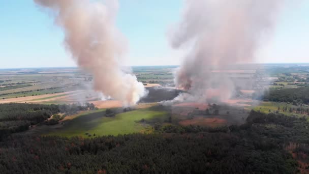 Flygfoto över brand i vetefält. Flyg över röken ovanför åkrarna — Stockvideo