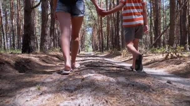 Młoda matka i syn trzymający się za ręce spacerujący ścieżką w lesie. Zwolniony ruch — Wideo stockowe