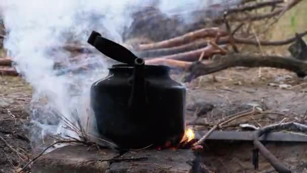 Черный с сажей чайник кипит над открытым огнем на туристический костер — стоковое видео
