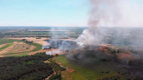 Buğday tarlasında havadan ateş manzarası. Tarım Tarlalarının Üzerinde Duman Uçuyor — Stok video