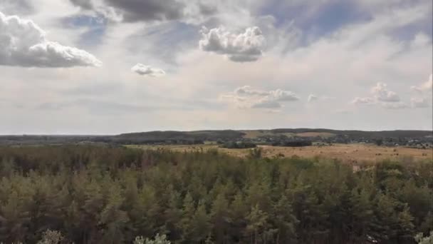 Visão aérea hiperlapso do drone sobre a floresta verde com nuvens móveis no céu azul — Vídeo de Stock