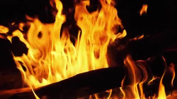 Vuur brandt 's nachts in slow motion 240 fps. Vlammen van Kampvuur bij Natuur. — Stockvideo