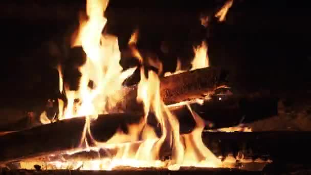 Fogueira a arder à noite em câmara lenta. Chamas de fogueira na natureza . — Vídeo de Stock