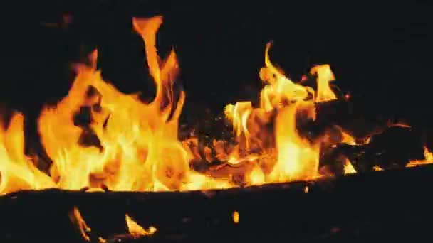 Hoguera ardiendo por la noche en cámara lenta. Llamas de fogata en la naturaleza. — Vídeos de Stock