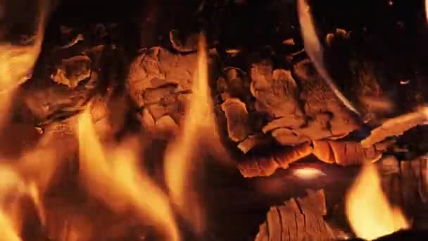 火在夜间慢速燃烧。大自然篝火之火. — 图库视频影像