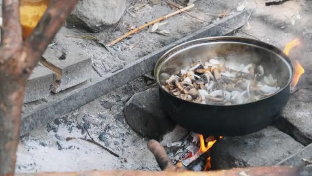 Grzyby smażone są na patelni nad ogniem w warunkach polowych na ręcznie robionej kuchni — Wideo stockowe