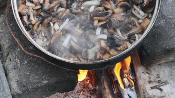 Las setas se fríen en una sartén sobre fuego en condiciones de campo en la cocina hecha a mano — Vídeo de stock