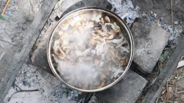 Paddenstoelen worden gebakken in een pan over brand in het veld omstandigheden op handgemaakte keuken — Stockvideo