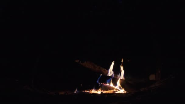 Płonące ognisko w nocy w zwolnionym tempie. Płomienie ogniska na łonie natury. — Wideo stockowe
