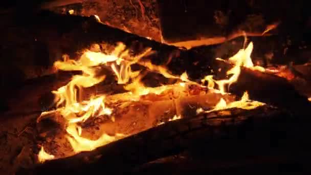 Hoguera ardiendo por la noche en cámara lenta. Llamas de fogata en la naturaleza. — Vídeo de stock