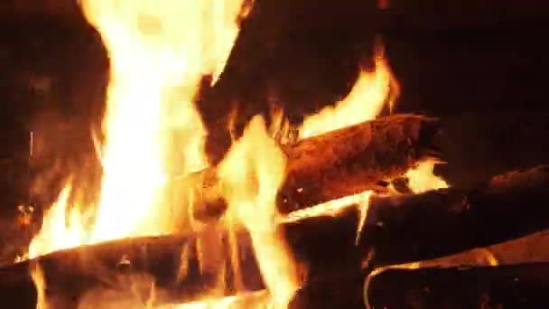 Lagerfeuer brennt nachts in Zeitlupe. Lagerfeuer in der Natur. — Stockvideo