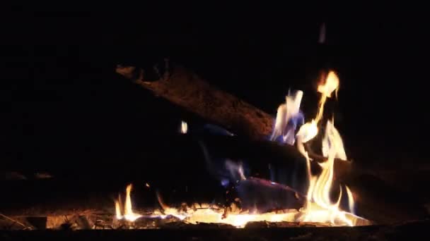 Falò che brucia di notte al rallentatore. Fiamme di fuoco in mezzo alla natura. — Video Stock