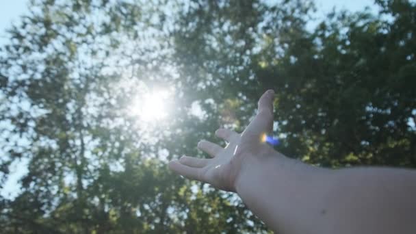 Toca el sol. Mano masculina toca los dedos con rayos de sol de hojas de árboles verdes — Vídeos de Stock