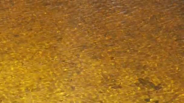 강 수면. 반짝 이는 아마포로 물이 표면에 올라오다 — 비디오