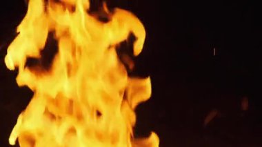 Şenlik Ateşi Gece Yanar. Doğadaki kamp ateşi alevleri. Slow Motion 240 fps