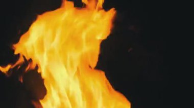 Kara Arkaplanda Alevler. Şenlik Ateşi Gece Yanar. Yavaş Hareket