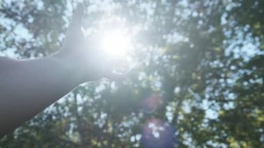 Güneşe dokun. Erkek El Yeşil Ağaç Yapraklarından Güneş ışınlarıyla Parmaklarını Oynuyor