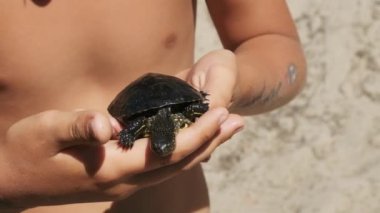 Çocuk, River Bank 'ın Arkaplanında Küçük Kaplumbağa Tutuyor. 240 fps içinde Yavaş Hareket