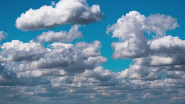 Cumulus Cirrus Wolken bewegen sich am blauen Himmel. Zeitraffer. — Stockvideo