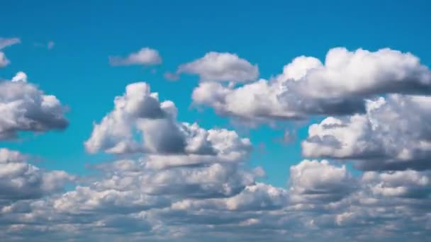 Cumulus Cirrus Wolken bewegen sich am blauen Himmel. Zeitraffer. — Stockvideo