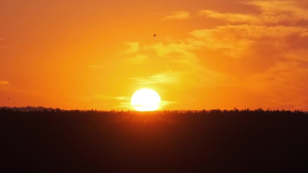 Puesta de sol sobre el horizonte — Vídeos de Stock