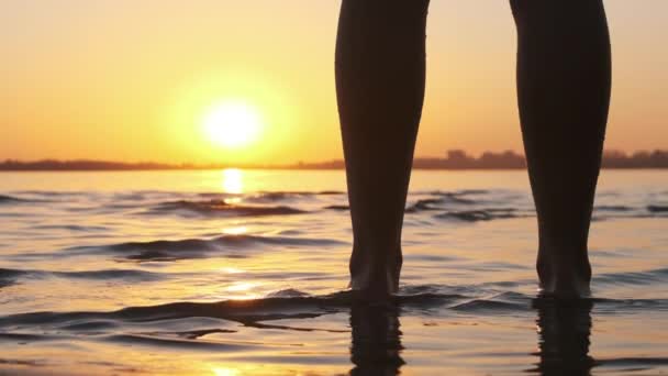 Silhueta de pernas de mulher em pé na água ao pôr do sol na praia. Movimento lento — Vídeo de Stock