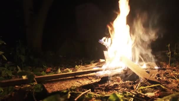 Lagerfeuer brennt in der Nacht im Wald. Lagerfeuer brennt in der Natur bei Zelten — Stockvideo