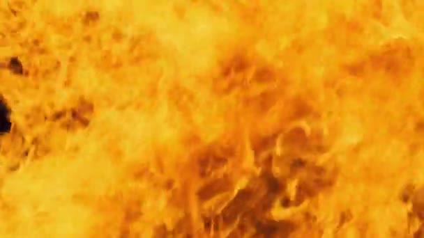 Spurts of Flame. Background of Flames of Fire. Big Bonfire. Slow Motion 240 fps — Stock Video