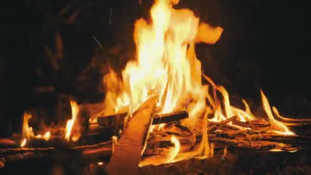 Lagerfeuer brennt in der Nacht im Wald. Lagerfeuer brennt auf die Natur. Zeitlupe — Stockvideo