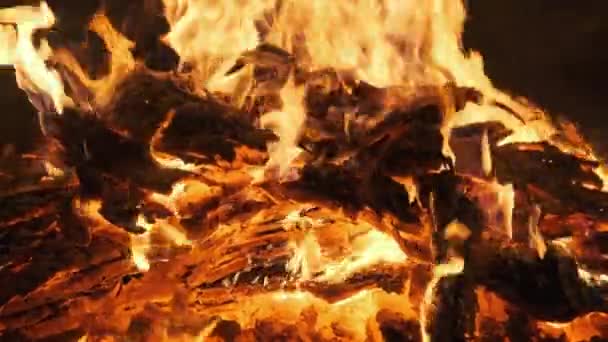 Varma kol bränner ner en stor eld och glöd Bright Red. Långsamma rörelser — Stockvideo