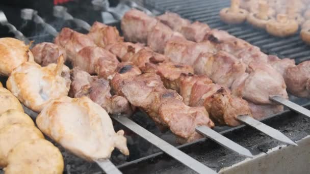 Shish Kebab y champiñones en Skewers cocinados en la barbacoa en Street Food Festival — Vídeos de Stock