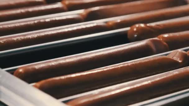 Cârnații Hotdog sunt gătiți pe grătar la Festivalul Street Food noaptea . — Videoclip de stoc