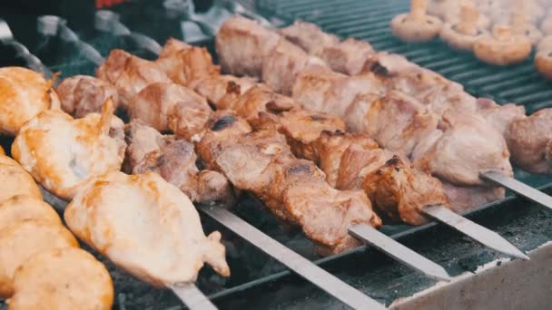 Shish Kebab a houby na Skewers vařené na grilu na Street Food Festival — Stock video