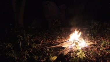 Ormanda Şenlik Ateşi Gece Yanar. Kamp ateşi kamp yakınında doğa üzerinde yanar.